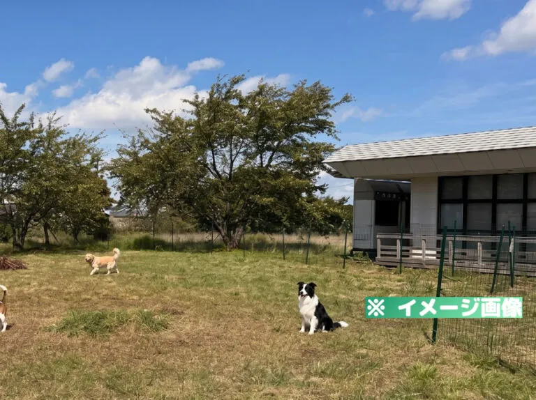 WANi WAN!パーク