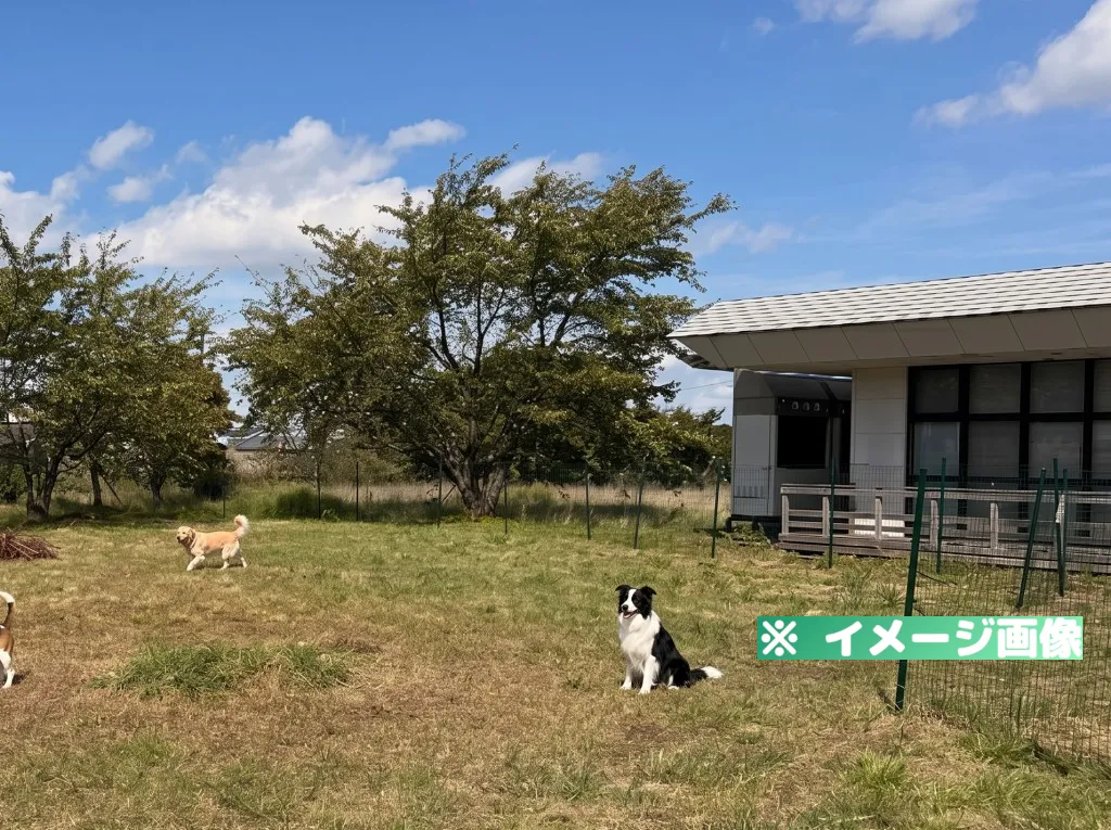 WANi WAN!パークのイメージ画像