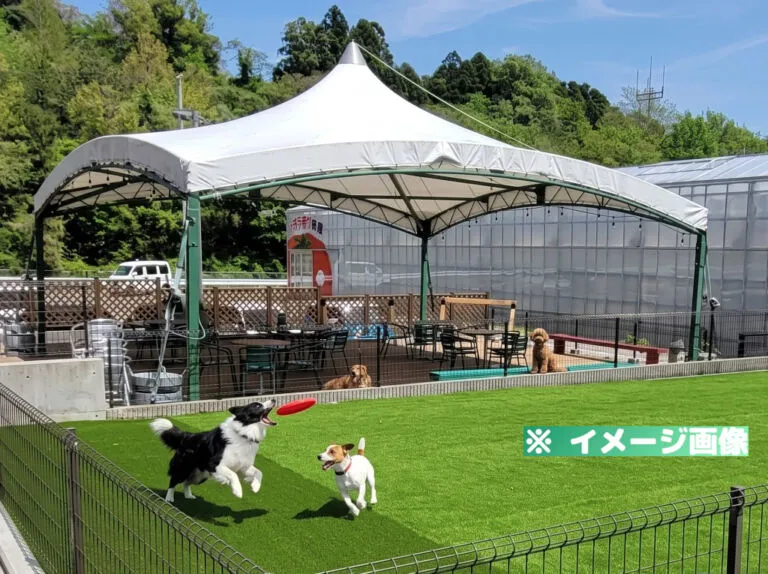 ワンダーファーム ドッグラン