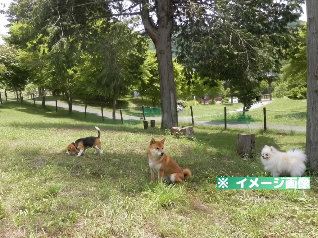 よませどんぐりの森公園 ドッグラン