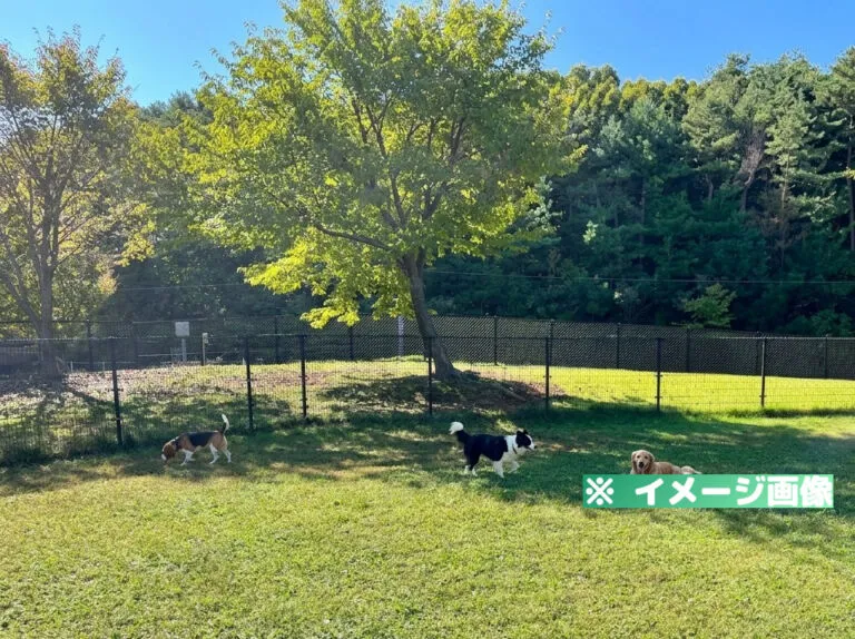 米山サービスエリア（上り）ドッグラン