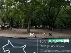 代々木公園 ドッグランのイメージ画像