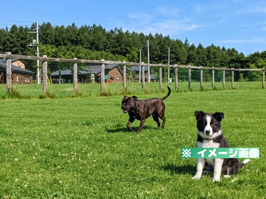 湯地の丘広場ドッグラン