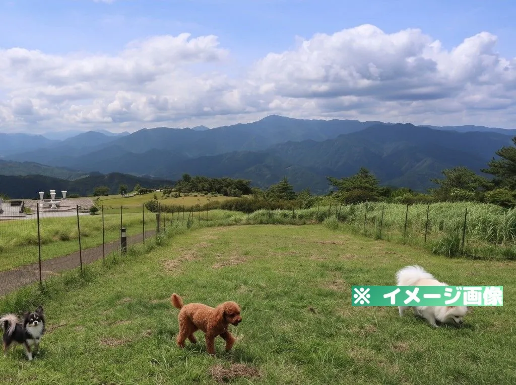 ゆとりすとパークおおとよ ドッグラン