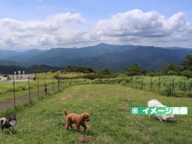 ゆとりすとパークおおとよ ドッグラン
