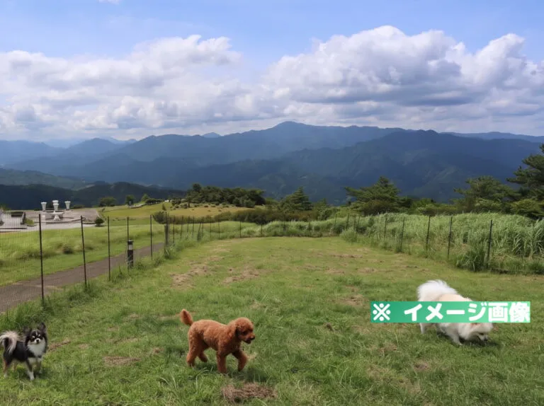 ゆとりすとパークおおとよ ドッグラン