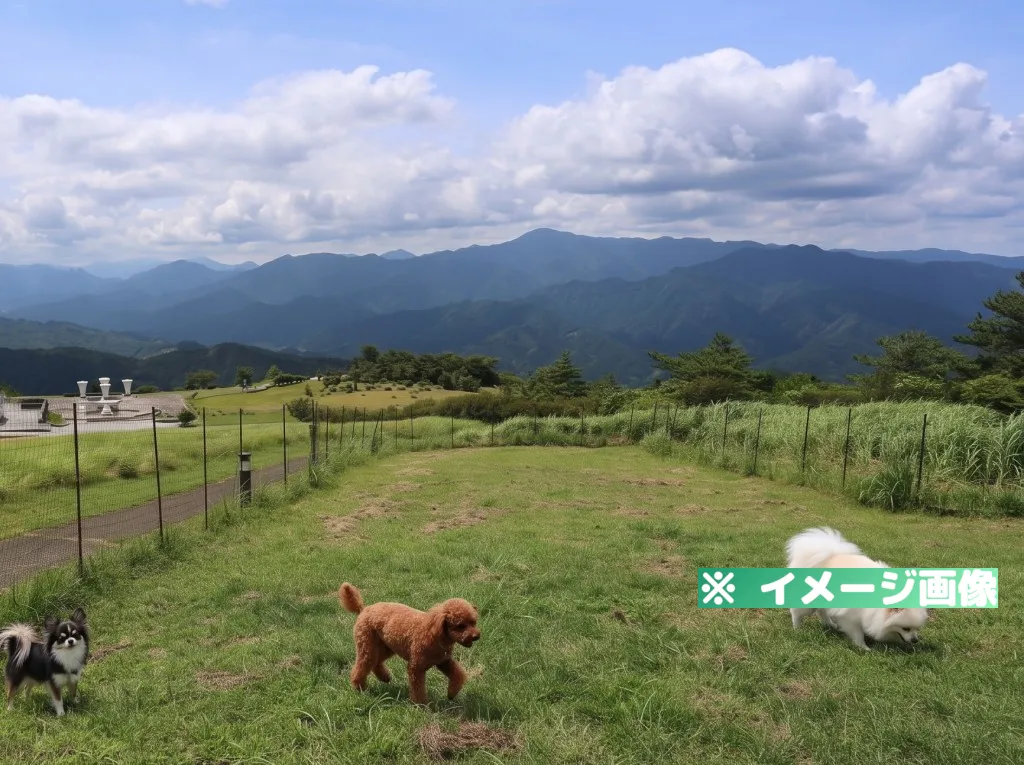 ゆとりすとパークおおとよ ドッグラン